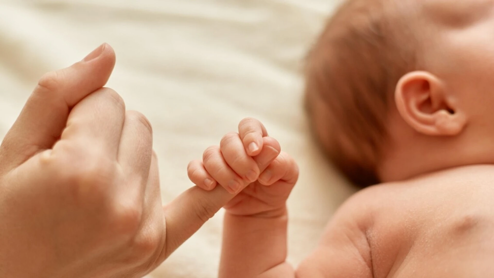 Giornata internazionale delle Ostetriche. Il ringraziamento del presidente Roberti a tutte le professioniste che lavorano negli ospedali molisani.